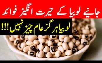 Benefits-of-Beans