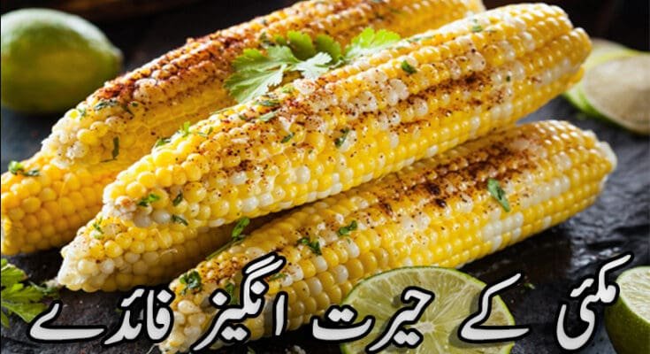 advantage-of-corn