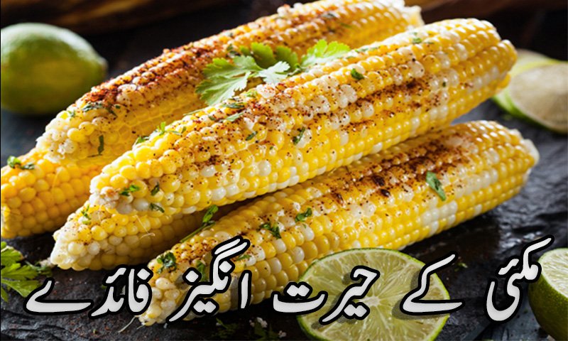 advantage-of-corn